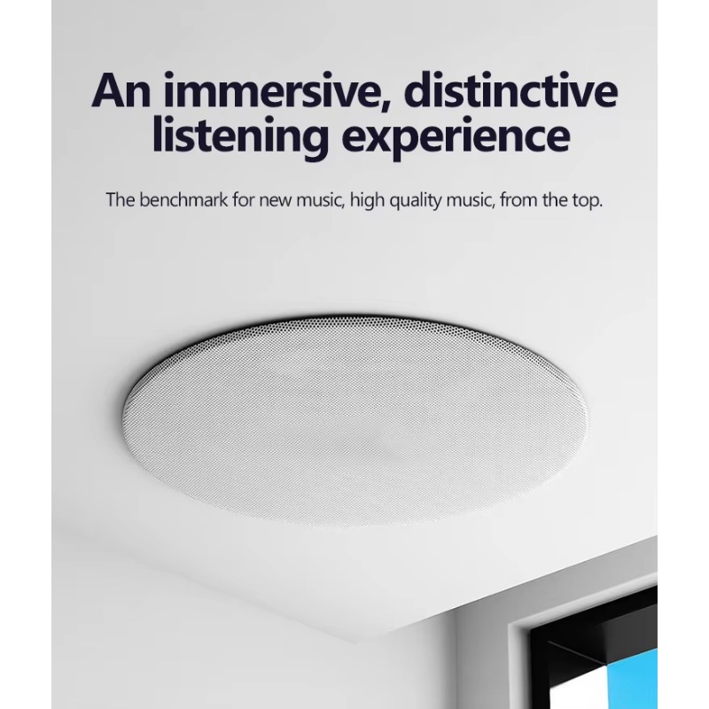 Altoparlante da Soffitto Wirel - Audio Music Link recensione e prezzo
