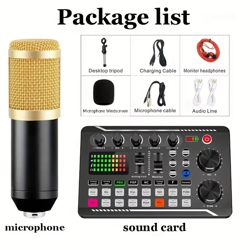 Microfono a condensatore profe - Audio Music Voice Changer recensione e prezzo