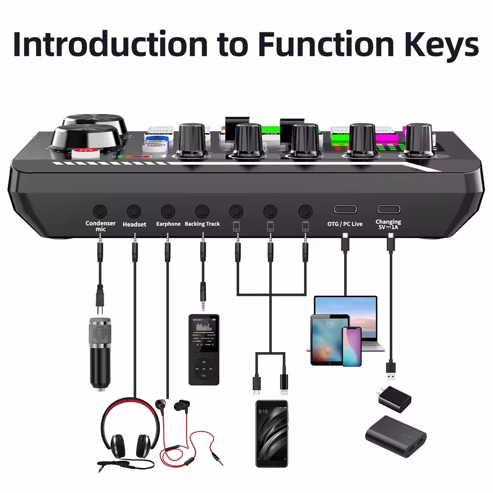 Microfono a condensatore profe - Audio Music Voice Changer recensione e prezzo